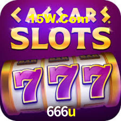 Premium Interface 666u